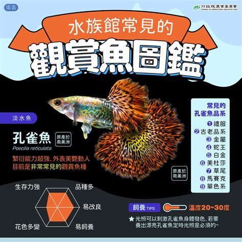 觀賞魚品種|觀賞魚圖鑑